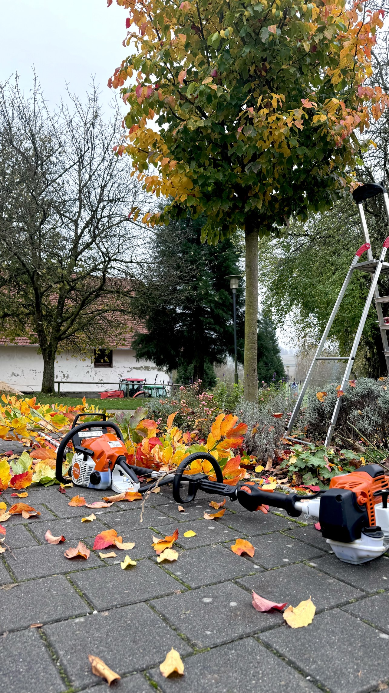Aktionstag Okt. 2024